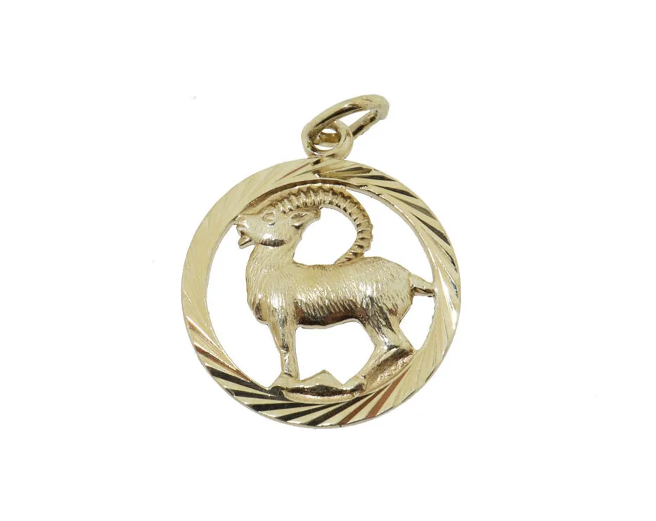 Steenbok | 14 karaat gouden sterrenbeeld hanger