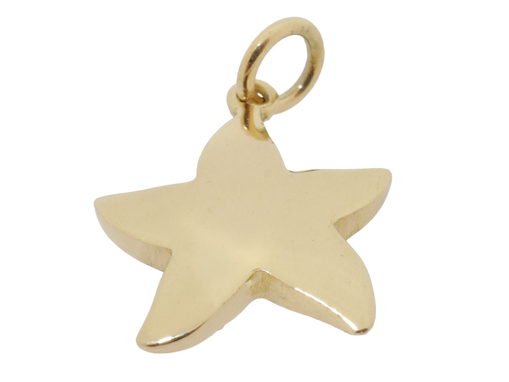 14 Karaat Gouden Hanger Zee-Ster