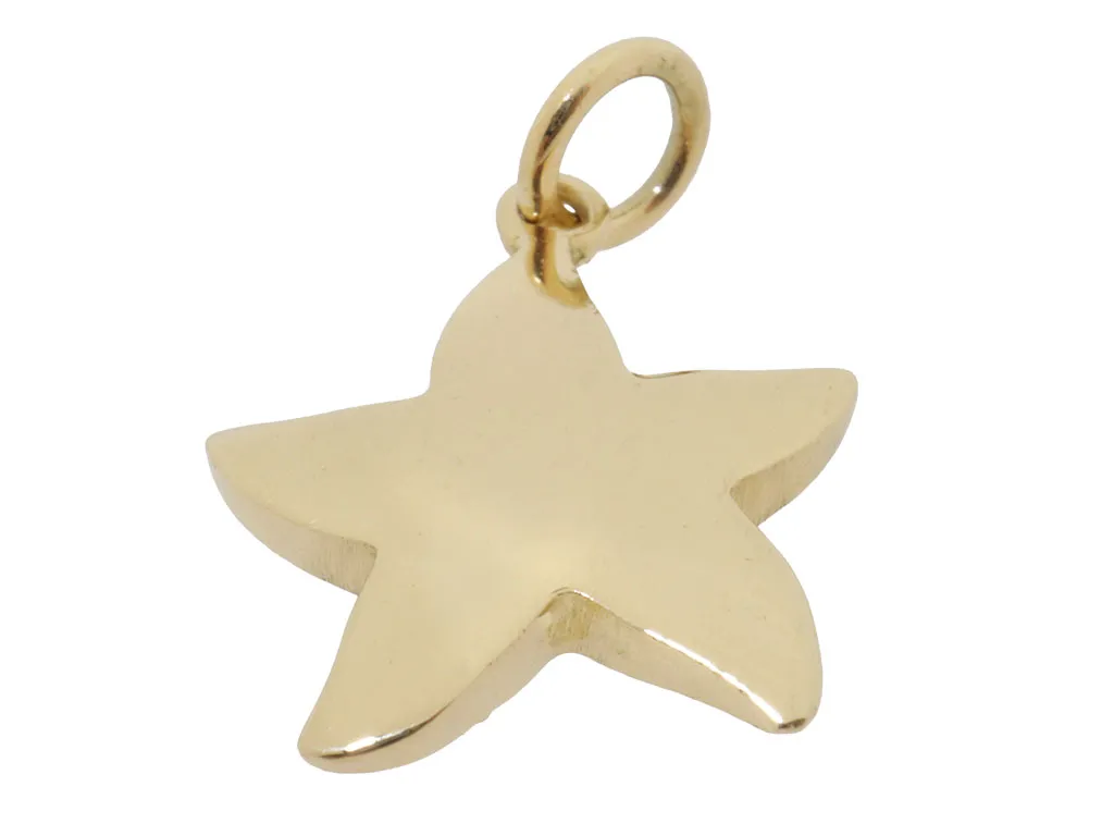 18 Karaat Gouden Ster Hanger 
