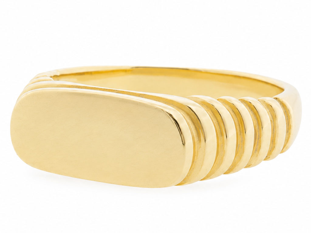 18 Karaat Gouden Heren Zegel Ring Met Relief 