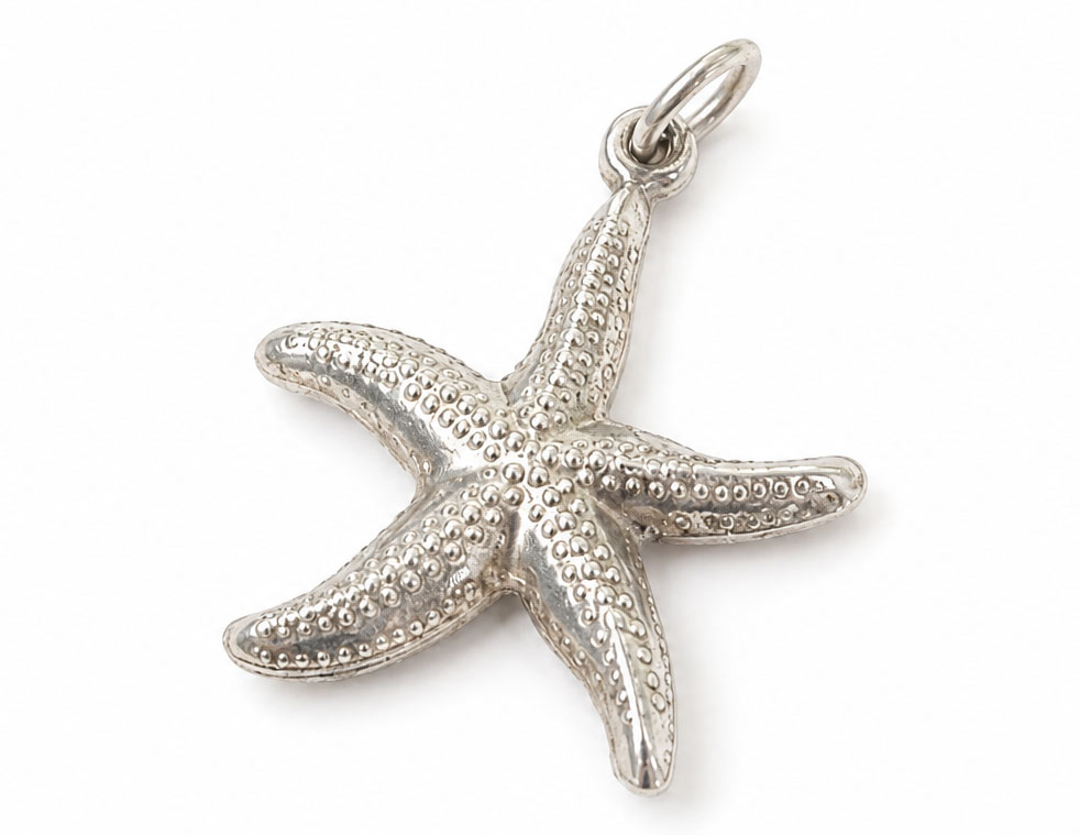 Zilveren Zeester Hanger | 925 Bedel